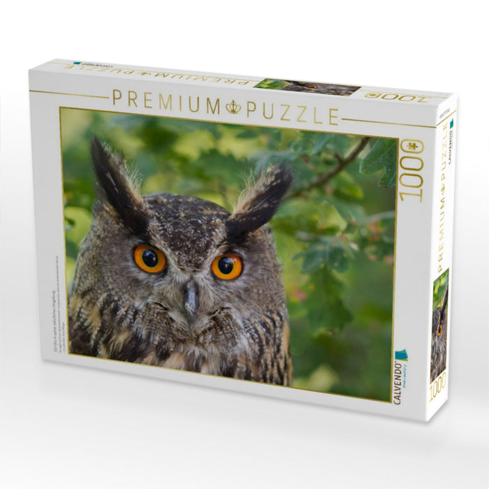 Ein Uhu in seiner natürlichen Umgebung - CALVENDO Foto-Puzzle'