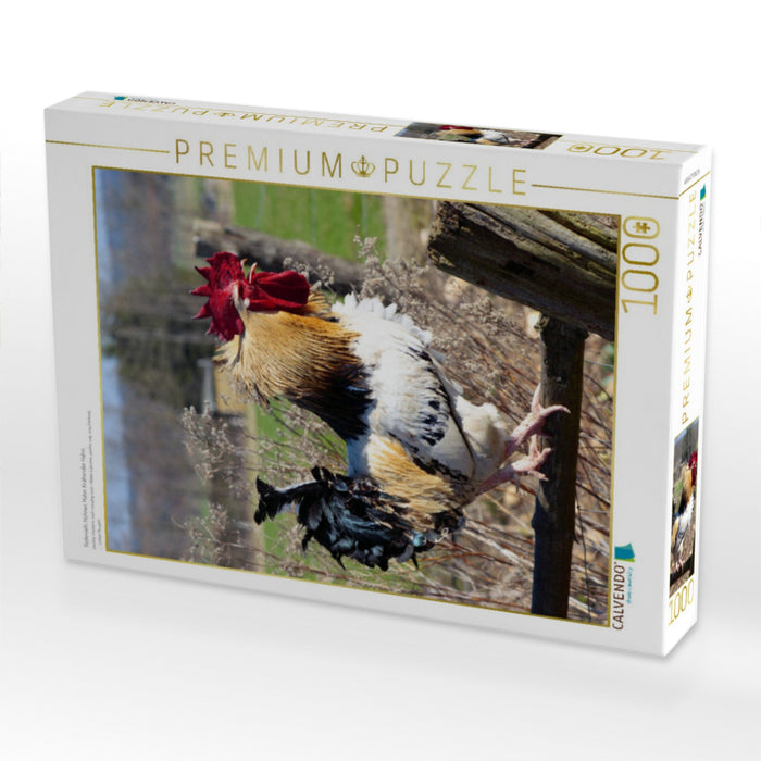 Federvieh, Hühner, Hahn, Krähender Hahn, - CALVENDO Foto-Puzzle'