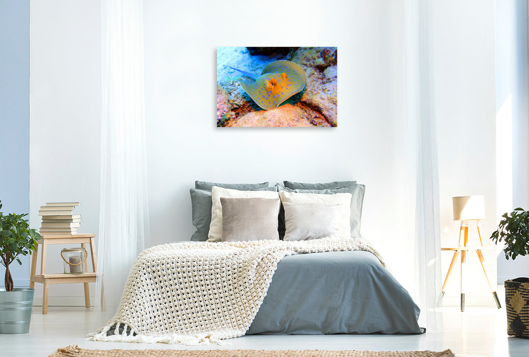 Premium textile canvas Premium textile canvas 120 cm x 80 cm across A motif from the calendar Diving Wonder World Coral Reefs 