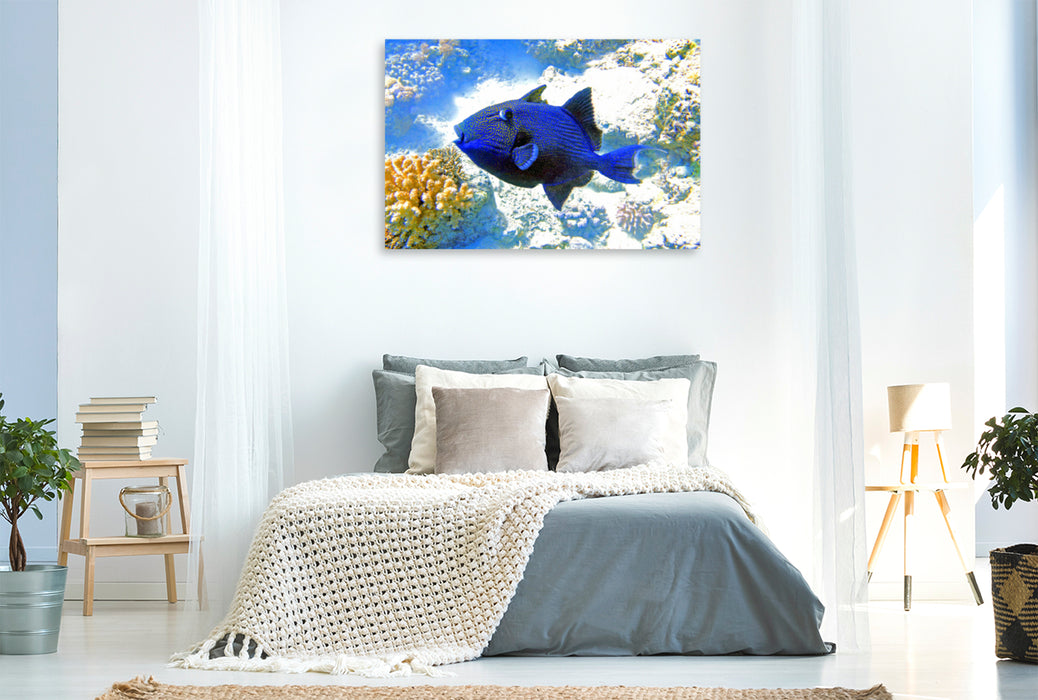 Premium textile canvas Premium textile canvas 120 cm x 80 cm landscape A motif from the calendar coral reefs and their inhabitants 