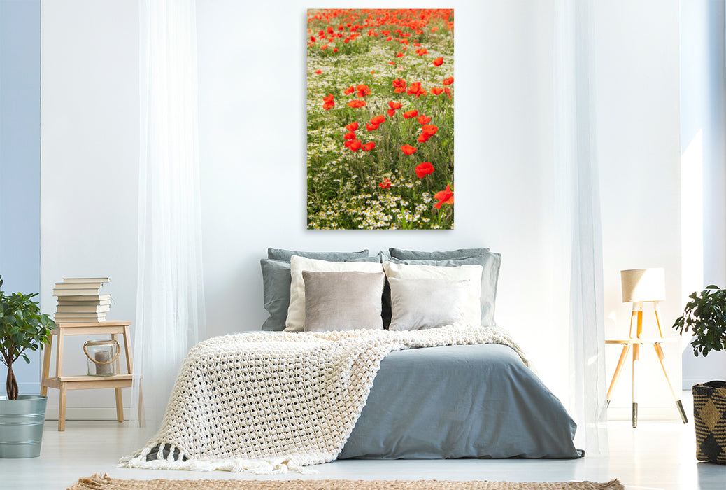 Premium Textil-Leinwand Premium Textil-Leinwand 80 cm x 120 cm  hoch Traumhafte Mohnblumen und Kamilleblüten