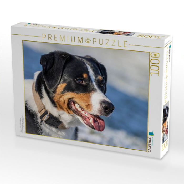 Appenzeller Sennenhund - CALVENDO Foto-Puzzle'