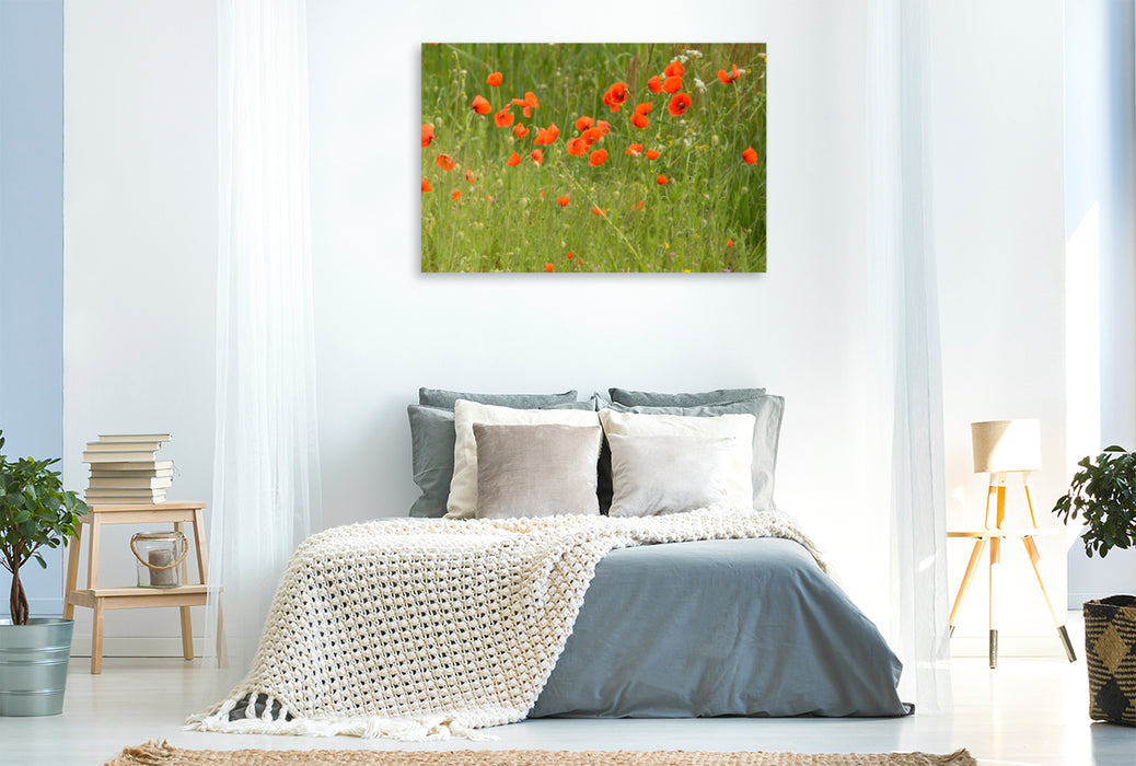 Premium textile canvas Premium textile canvas 120 cm x 80 cm landscape "Dream meadows on Texel" - Calvendo calendar 