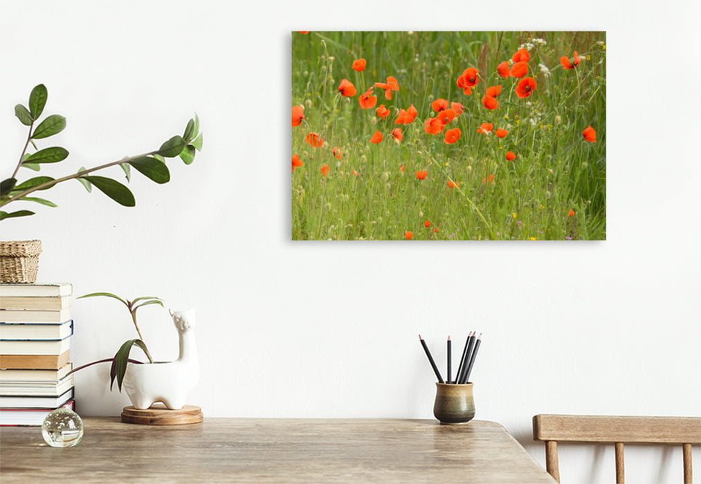 Premium textile canvas Premium textile canvas 120 cm x 80 cm landscape "Dream meadows on Texel" - Calvendo calendar 