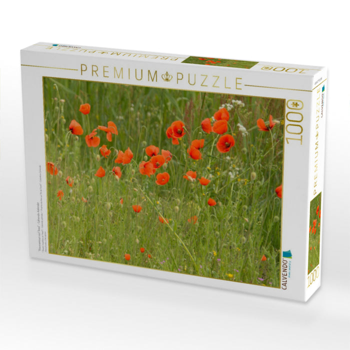 "Traumwiesen auf Texel" - Calvendo-Kalender - CALVENDO Foto-Puzzle'