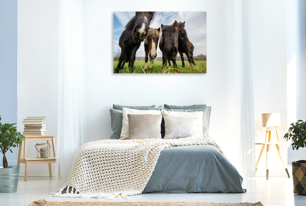 Premium textile canvas Premium textile canvas 120 cm x 80 cm across Some stallions are very cocky. 