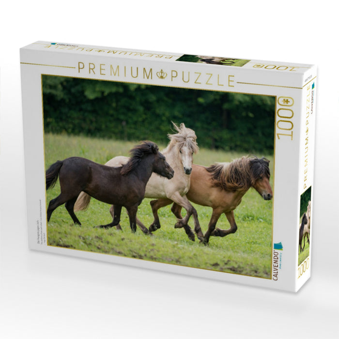 Die Hengste jagen sich. - CALVENDO Foto-Puzzle'
