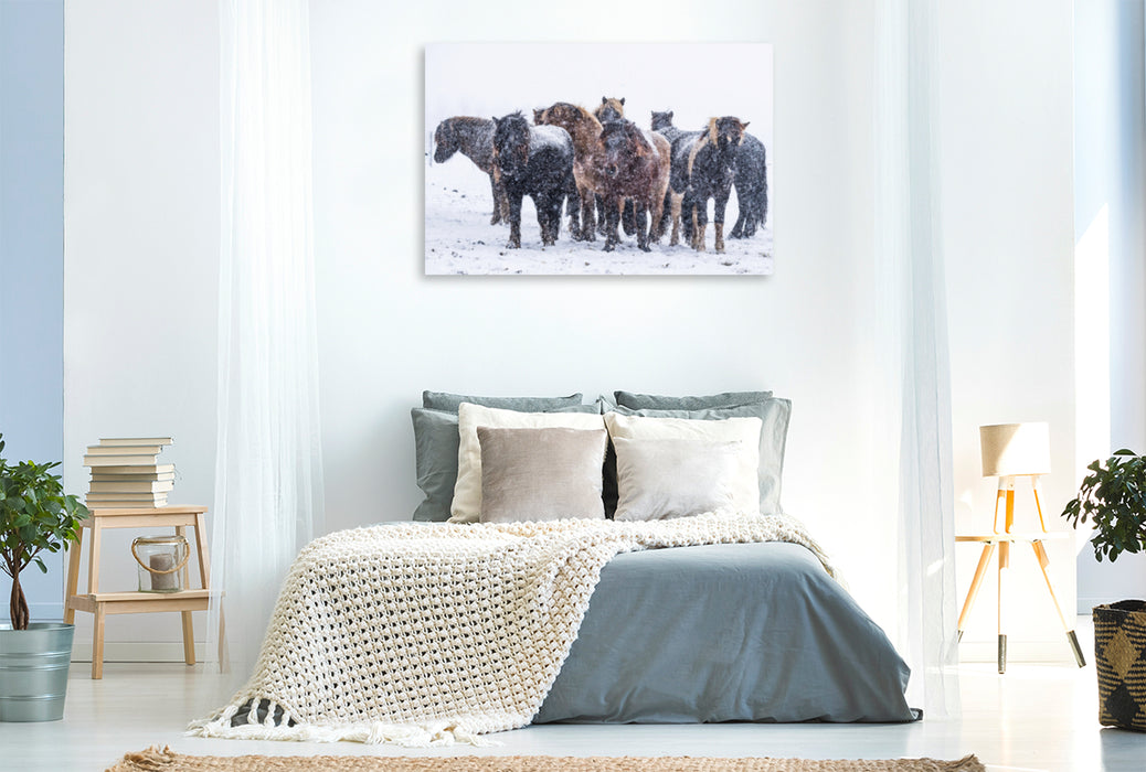 Premium textile canvas Premium textile canvas 120 cm x 80 cm across Heavy snowfalls cause the stallions to move closer together. 