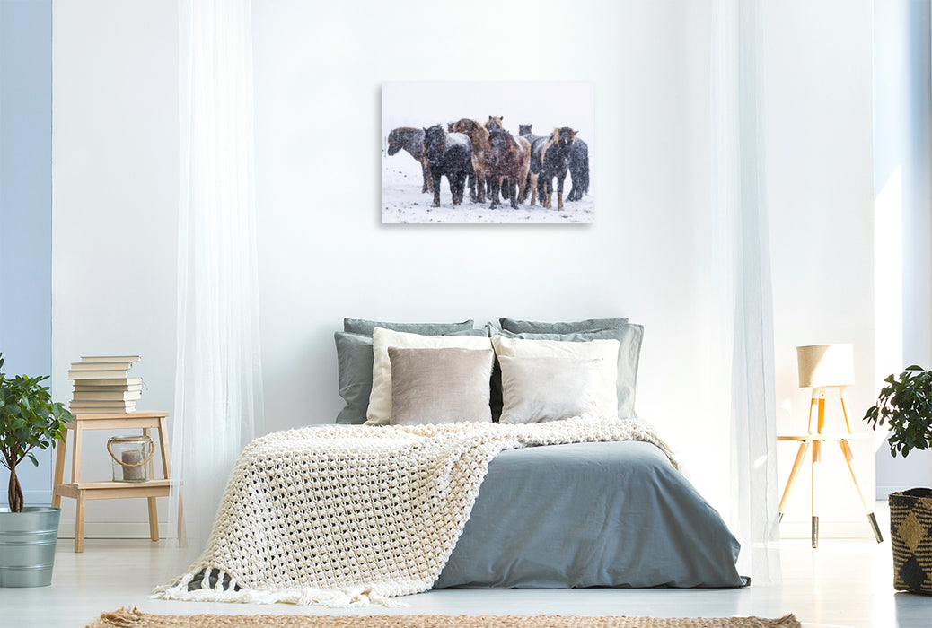 Premium textile canvas Premium textile canvas 120 cm x 80 cm across Heavy snowfalls cause the stallions to move closer together. 