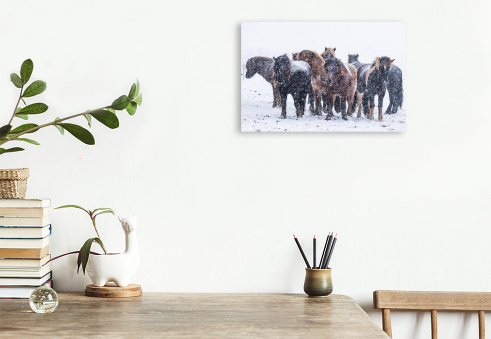 Premium textile canvas Premium textile canvas 120 cm x 80 cm across Heavy snowfalls cause the stallions to move closer together. 