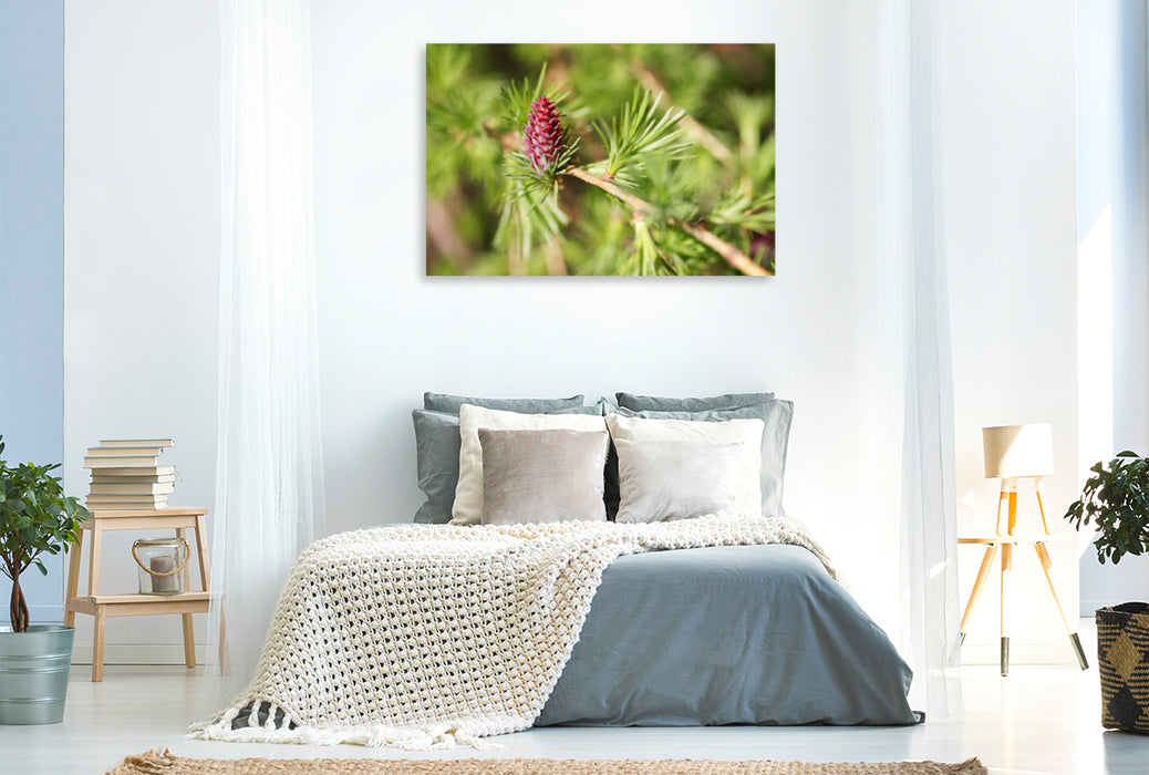 Premium textile canvas Premium textile canvas 120 cm x 80 cm landscape larch blossom in spring 