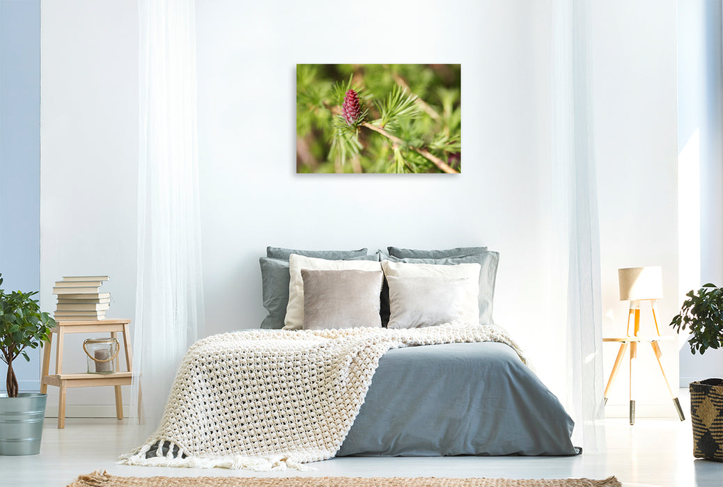 Premium textile canvas Premium textile canvas 120 cm x 80 cm landscape larch blossom in spring 