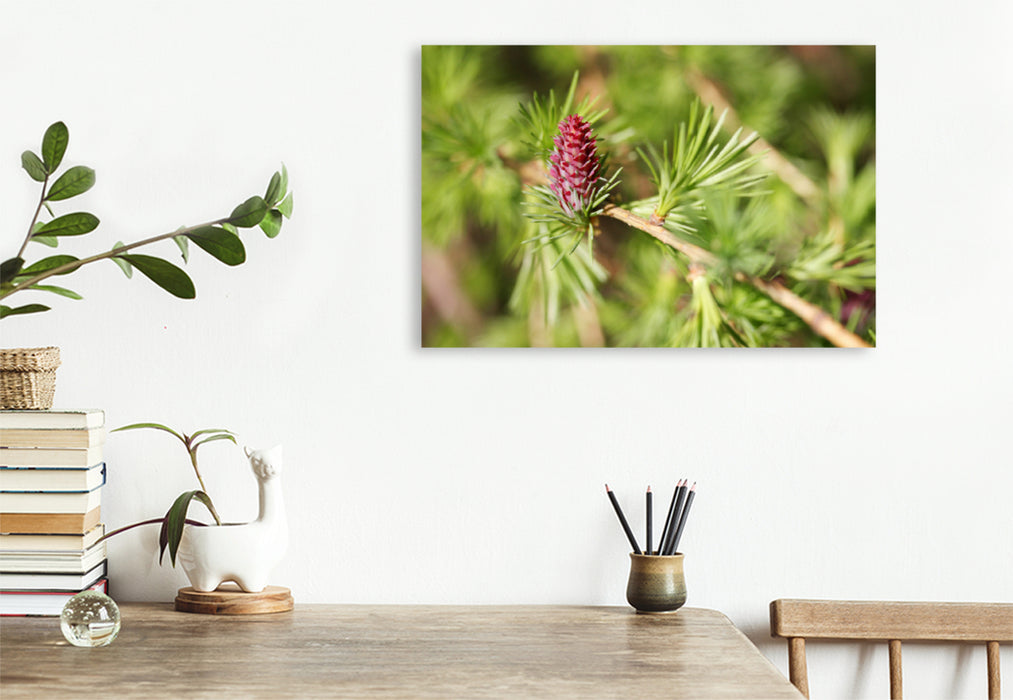 Premium textile canvas Premium textile canvas 120 cm x 80 cm landscape larch blossom in spring 