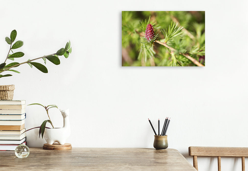 Premium textile canvas Premium textile canvas 120 cm x 80 cm landscape larch blossom in spring 