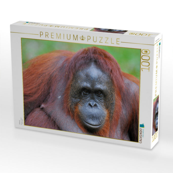 Intensiv - CALVENDO Foto-Puzzle'