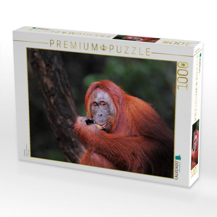 Frühstück - CALVENDO Foto-Puzzle'