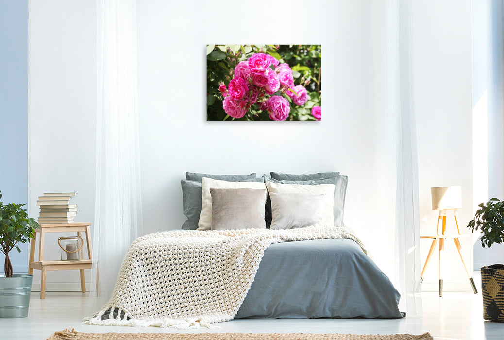 Premium textile canvas Premium textile canvas 120 cm x 80 cm landscape Pink climbing rose 