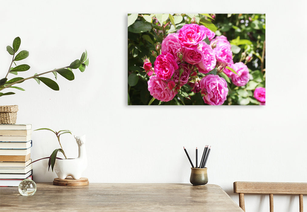 Premium textile canvas Premium textile canvas 120 cm x 80 cm landscape Pink climbing rose 