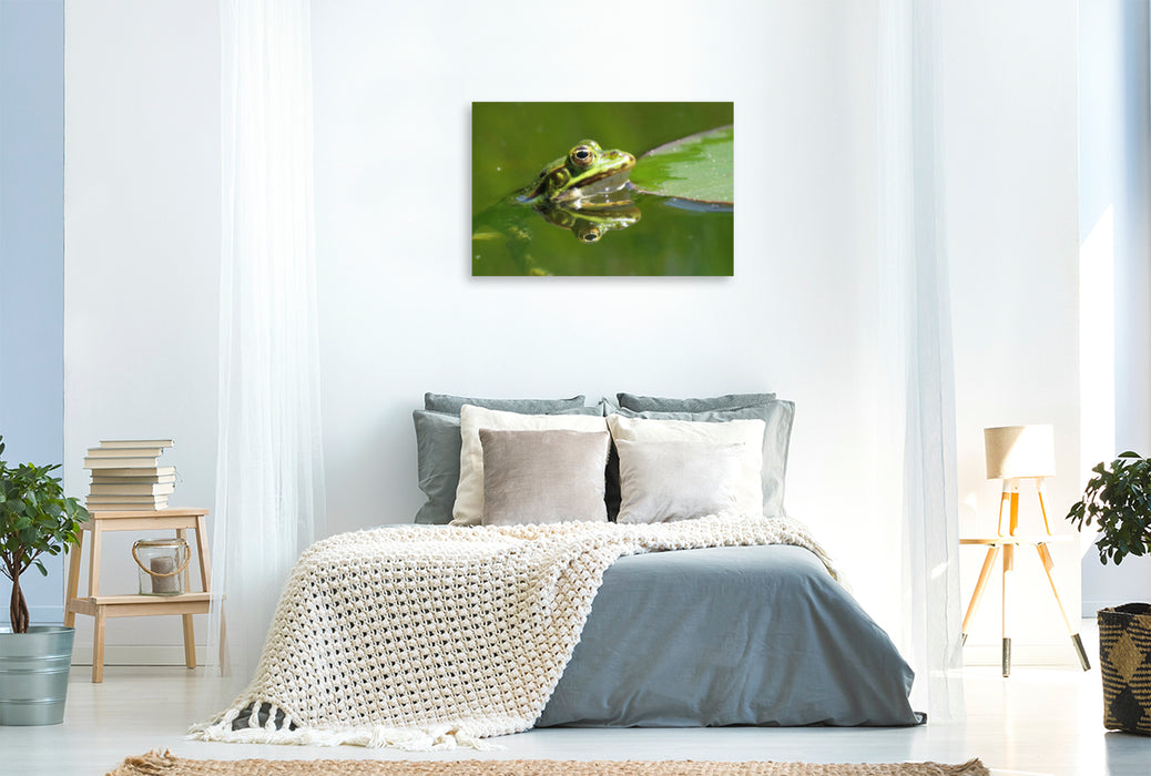 Premium textile canvas Premium textile canvas 120 cm x 80 cm landscape Frog reflected in the water 
