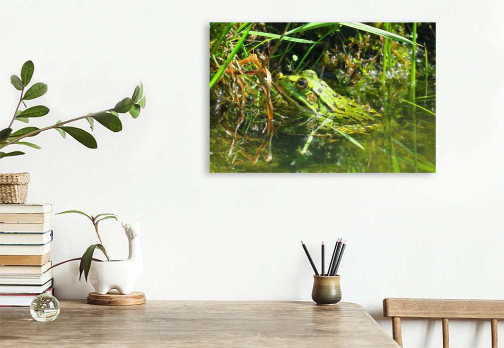 Premium textile canvas Premium textile canvas 120 cm x 80 cm landscape To catch flies 