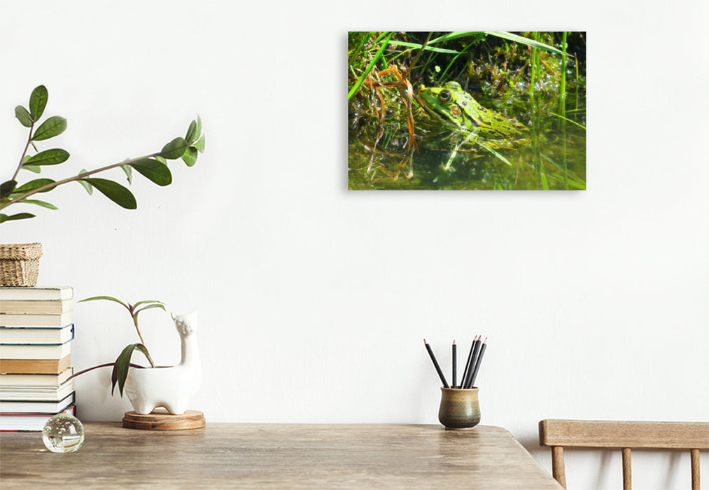 Premium textile canvas Premium textile canvas 120 cm x 80 cm landscape To catch flies 