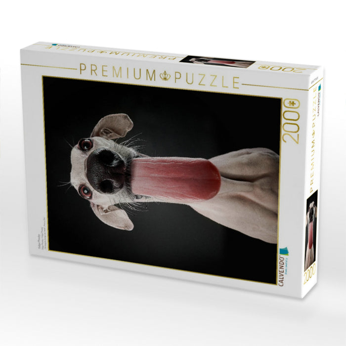 Galga Phoeby - CALVENDO Foto-Puzzle'