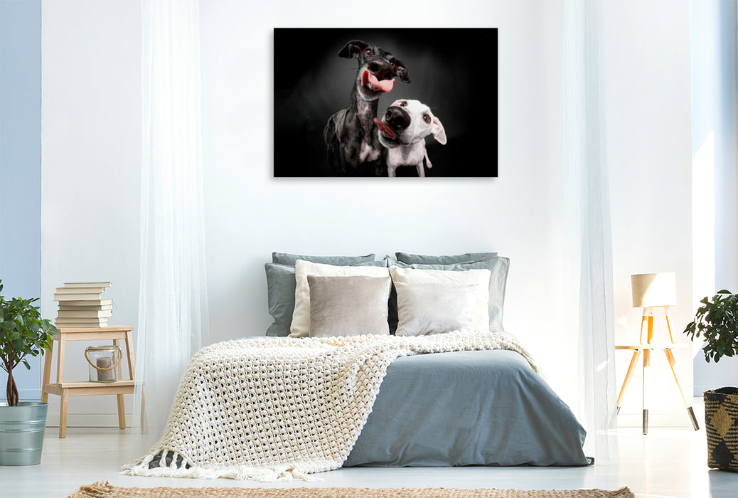 Premium textile canvas Premium textile canvas 120 cm x 80 cm landscape Double greyhound kiss 