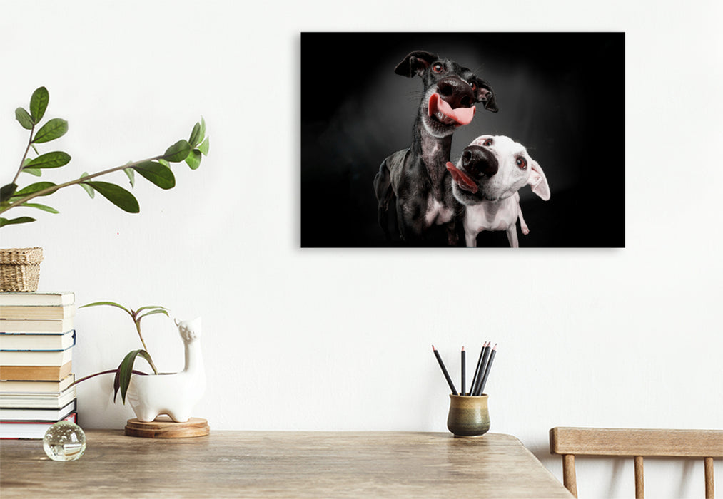 Premium textile canvas Premium textile canvas 120 cm x 80 cm landscape Double greyhound kiss 