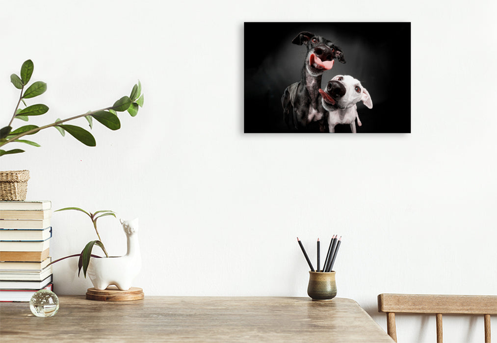 Premium textile canvas Premium textile canvas 120 cm x 80 cm landscape Double greyhound kiss 