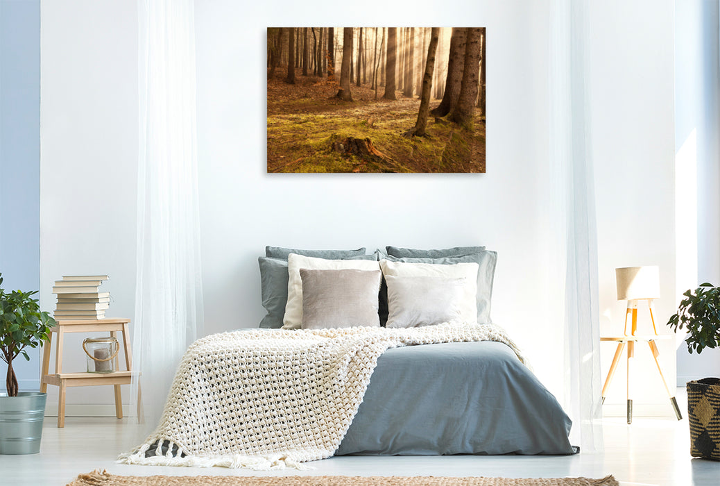 Premium textile canvas Premium textile canvas 120 cm x 80 cm landscape sunrise in the forest 