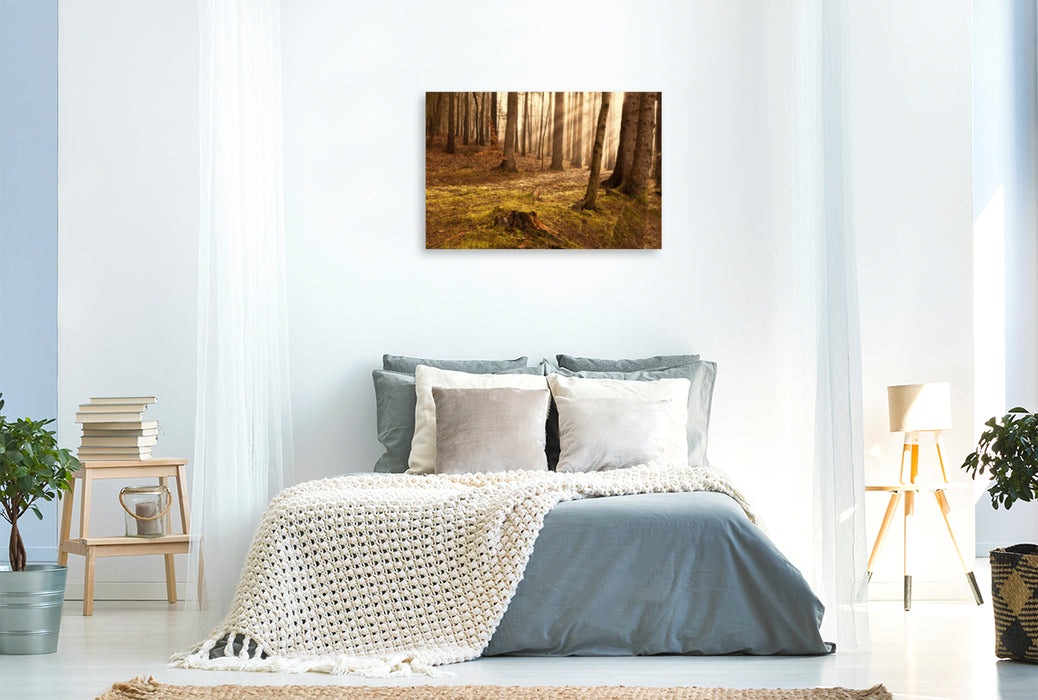 Premium textile canvas Premium textile canvas 120 cm x 80 cm landscape sunrise in the forest 