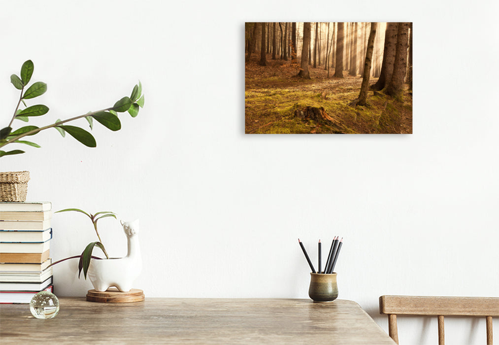 Premium textile canvas Premium textile canvas 120 cm x 80 cm landscape sunrise in the forest 