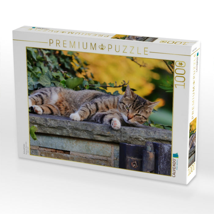 Ruhende Katze - CALVENDO Foto-Puzzle'