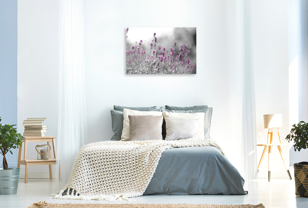 Premium Textil-Leinwand Premium Textil-Leinwand 90 cm x 60 cm quer Lavendel Magie