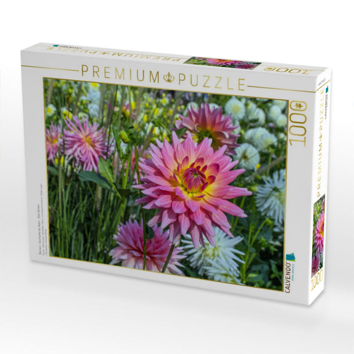 Blumen - Geschenke der Natur - Rote Dahlien - CALVENDO Foto-Puzzle'