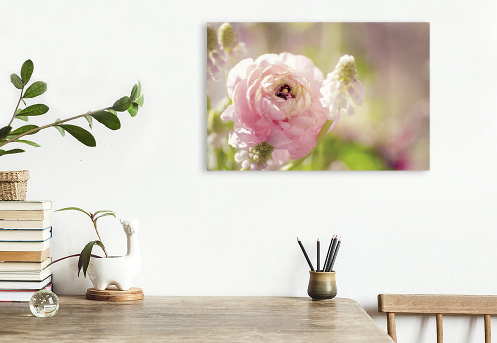 Premium textile canvas Premium textile canvas 120 cm x 80 cm landscape Delicate ranunculus in pink 
