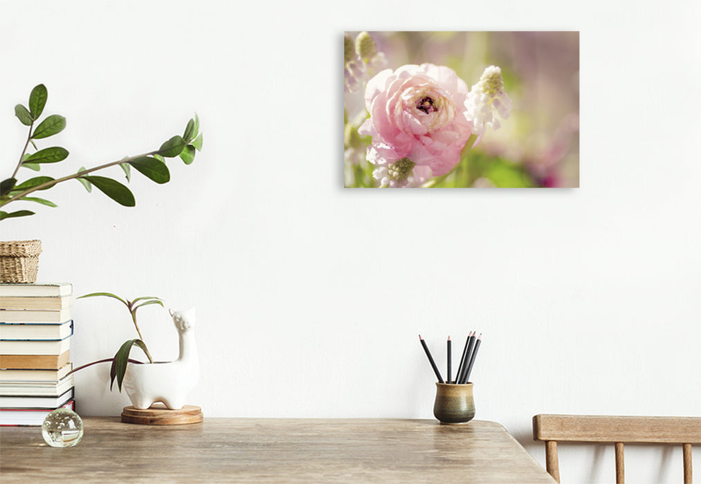 Premium textile canvas Premium textile canvas 120 cm x 80 cm landscape Delicate ranunculus in pink 