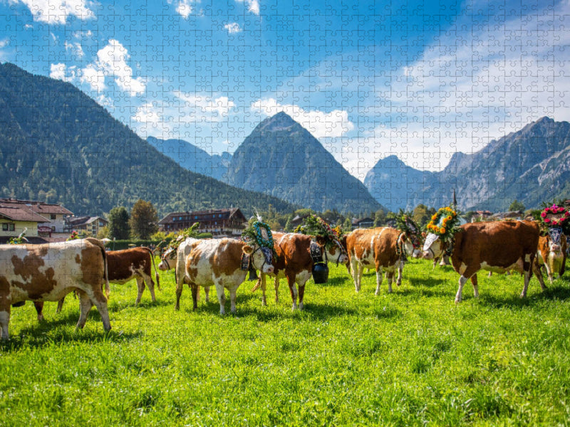 Almabtrieb in Pertisau - CALVENDO Foto-Puzzle'