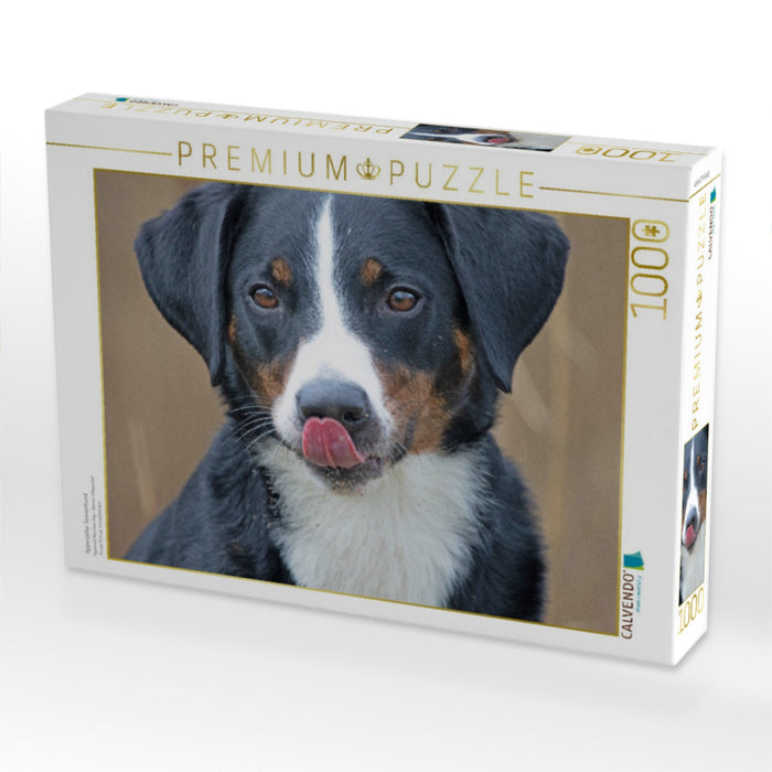 Appenzeller Sennenhund - CALVENDO Foto-Puzzle'