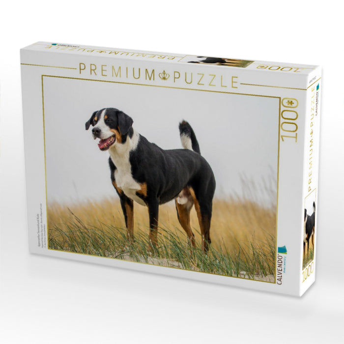 Appenzeller Sennenhund Rüde - CALVENDO Foto-Puzzle'