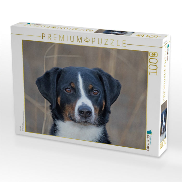 Der Blick - CALVENDO Foto-Puzzle'