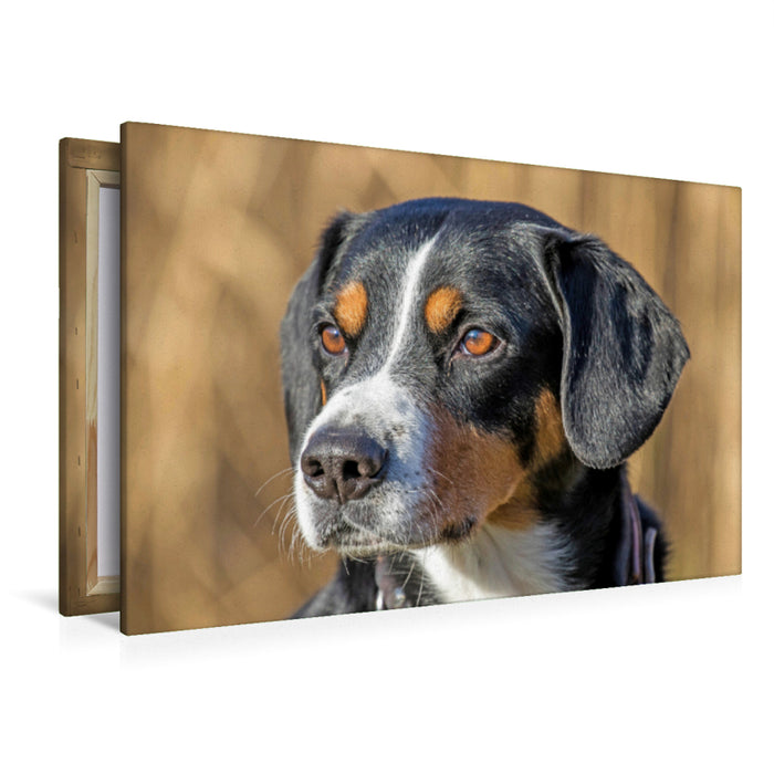 Premium Textil-Leinwand Portrait