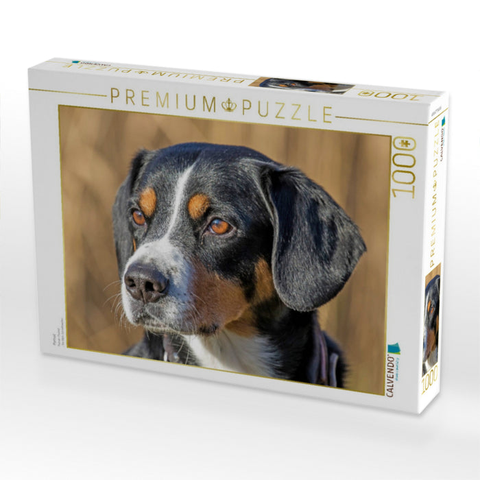 Portrait - CALVENDO Foto-Puzzle'