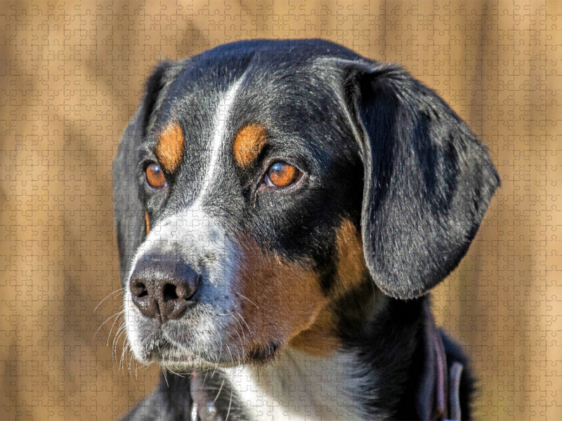 Portrait - CALVENDO Foto-Puzzle'