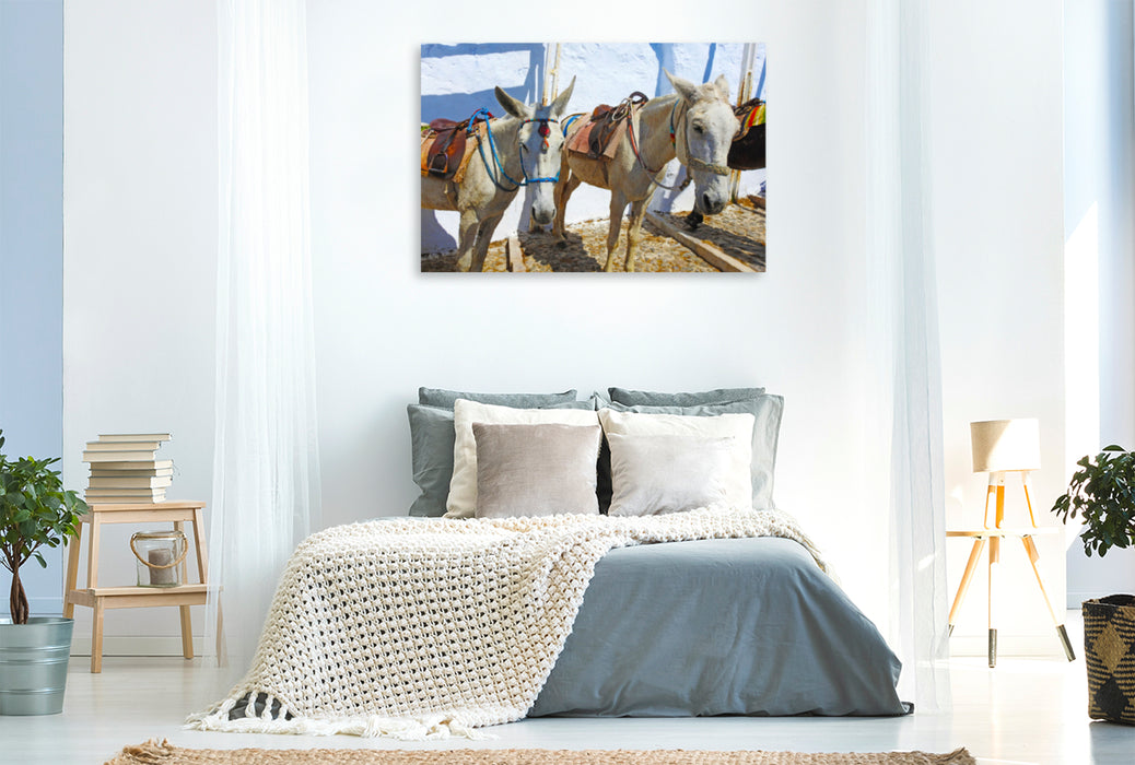 Premium textile canvas Premium textile canvas 120 cm x 80 cm landscape Donkey on the Greek island of Santorini 