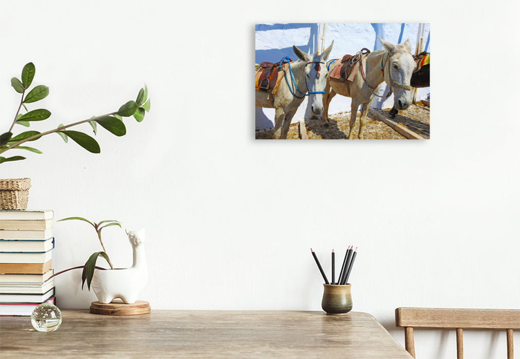 Premium textile canvas Premium textile canvas 120 cm x 80 cm landscape Donkey on the Greek island of Santorini 