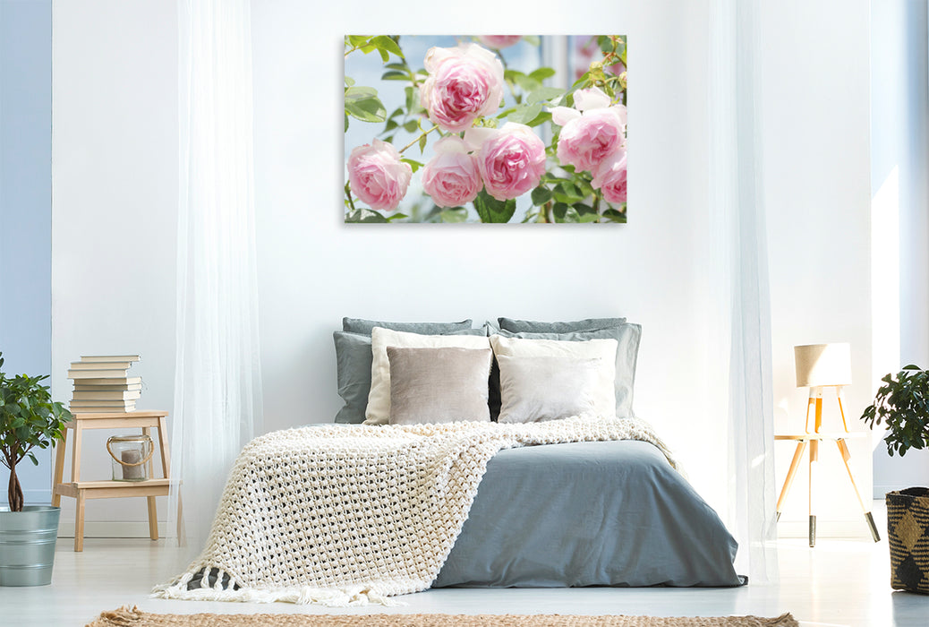 Premium textile canvas Premium textile canvas 120 cm x 80 cm landscape Rose 'Jasmina' 