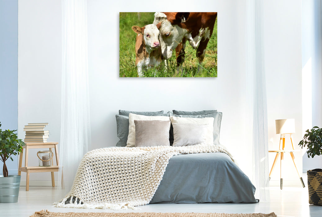 Premium textile canvas Premium textile canvas 120 cm x 80 cm landscape photo series cattle and calves on the meadows of the Eifel - photo Jean-Louis Glineur 