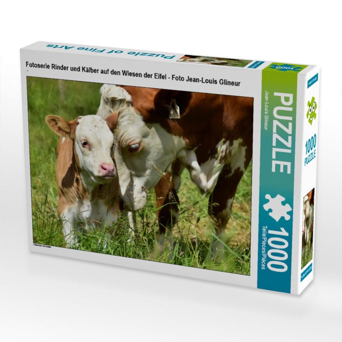 Fotoserie Rinder und Kälber auf den Wiesen der Eifel - Foto Jean-Louis Glineur 1000 Teile Puzzle quer - CALVENDO Foto-Puzzle'
