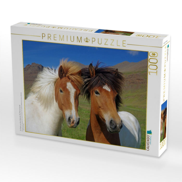 Ein Motiv aus dem Kalender Die Pferde Islands - CALVENDO Foto-Puzzle'